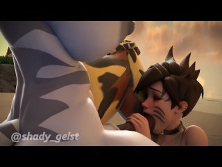 tracer vs pony epic