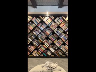 twinkriley livestream