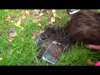teen found a strange treasure in our yard