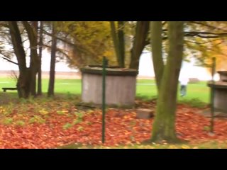 480p h264 (1) mp4