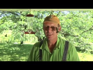 try not to laugh challenge funny fails