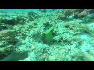 people vs. nature fails crazy failarmy