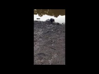 video by is overheard efremov
