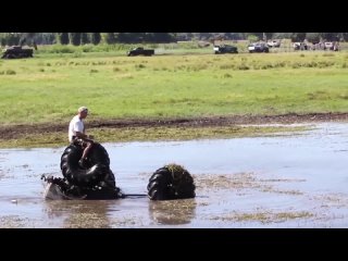 what could go wrong fails of the week - failarmy