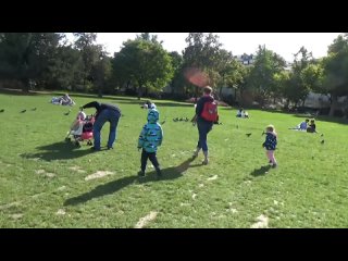 vlog paris by bus