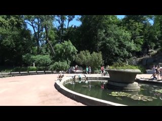 vlog go to the park for a walk