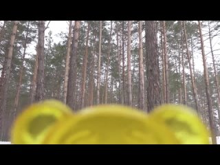 mandarinova plodozhorka i jelena  medavevary